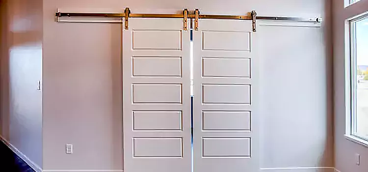 Glass Barn Door with Installation Hardware Kit Coralville