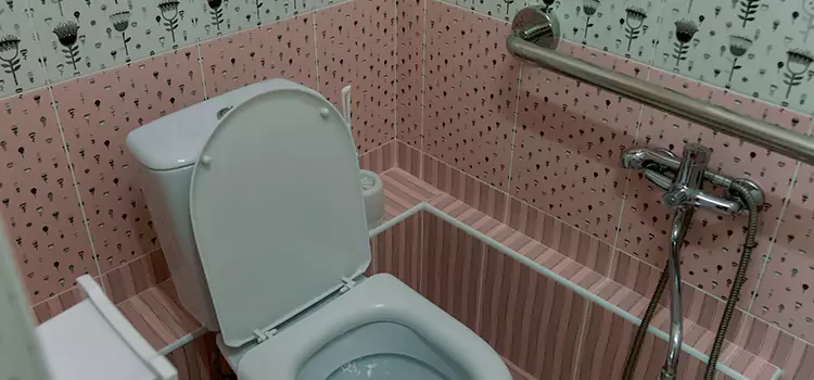 Meeting Diverse Needs With Accessible Restroom Solutions in Coralville, IA